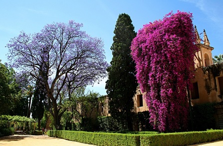 Alcazar gardens